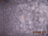 orbs20