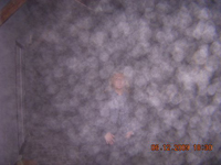 orbs21